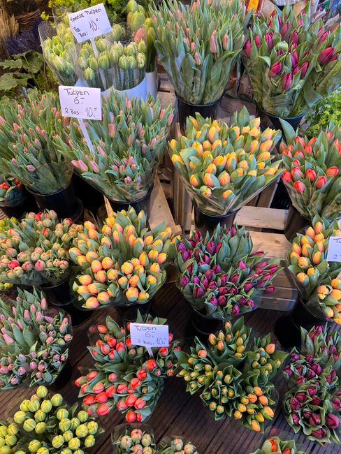 A collection of fresh tulip bouquets displayed on wooden tables at a market stall, featuring a variety of colors including pink, yellow, orange, red, and purple. The tulips are tightly packed in black