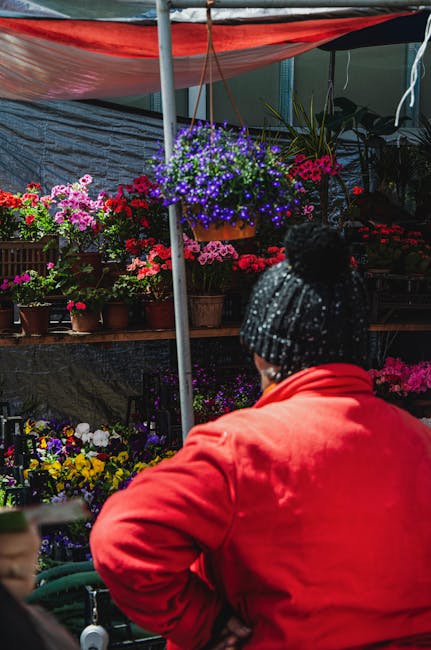 A person wearing a black knit hat and a bright red jacket views a vibrant flower stall at an outdoor market. The stall features an assortment of fresh, colorful flowers arranged in pots and hanging ba