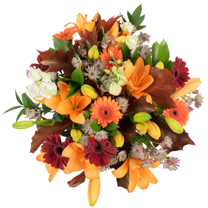 A richly textured, overhead close-up of a professionally arranged autumn bouquet set against a stark white background and captured in bright, even light. The centerpiece is a cluster of fully opened orange Asiatic lilies, their large, trumpet-shaped petals elegantly unfurled and exhibiting smooth, satiny surfaces in bright orange and apricot hues. Intermingled are numerous tight lily buds in fresh chartreuse and pale orange, offering the viewer an anticipation of continued bloom. Vibrant Gerbera daisies in both vivid orange and deep burgundy-red provide strong, circular focal points with their pronounced dark centers and radiating petals. Creamy white Lisianthus (Eustoma) with multilayered, ruffled edges contribute a soft, billowy texture that contrasts with the more structural lilies. Throughout, muted purple Astrantia heads introduce delicate, spiky, star-like clusters that add complexity and an air of refinement to the composition. Generous, deeply lobed leaves in reddish-brown and chestnut tones-reminiscent of oak or maple foliage-are artfully arranged to frame the bouquet and reinforce its autumnal character; their lobed silhouettes and subtle veining are clearly visible. Fresh green leaves and slender stems weave through the arrangement, providing support and a lively colour counterpoint. The tight, rounded form reads abundant and impeccably fresh, with the bright lighting accentuating each petal edge and leaf contour. This bouquet conveys warmth, harvest celebration, and seasonal elegance-well suited for fall décor, a Thanksgiving table, or as a thoughtful gift to evoke the tactile, aromatic pleasures of late-season blooms in neighbourhoods around Spitalfields and Bishopsgate.