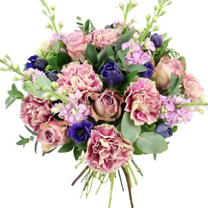 Captured against a simple white backdrop, this hand-tied bouquet reveals an artful interplay of colour and texture, like a still life inspired by the creative energy of Spitalfields. At the centre sit large, fully opened garden roses in shades of blush, dusty rose, and muted mauve, their spiralled petals layered tightly at the core and softening outward into a gentle, cupped form that exudes classic romance. Encircling these focal blooms, ruffled carnations contribute generous volume, their petals showing a subtle gradient from creamy nude and blush at the base to deeper rose and plum along the frilled edges, creating a sense of movement and richness. Deep indigo and royal blue flowers thread through the design, some held in sleek, tulip-like buds, others unfurled into velvety blooms; a notable royal blue anemone with a dark, dramatic centre anchors the front of the arrangement. Tall stems of pale lavender and lilac stock emerge gracefully, each lined with clusters of tiny blossoms that provide a light, airy counterpoint to the more substantial blooms and a hint of delicate fragrance. The bouquet is wrapped in a collar of greenery, with glossy dark leaves and distinctive rounded eucalyptus in soft, silvery green tones, adding both structure and a cool, aromatic impression. The long stems are gathered neatly at the base, clearly showing the hand-tied technique that a florist from Flower Delivery Spitalfields might use when preparing a bespoke gift. The overall mood is refined yet inviting, perfectly suited for anniversaries, elegant thank-you gestures, or to bring a touch of softness to apartments and studios around Spitalfields, Shoreditch, and the nearby City.