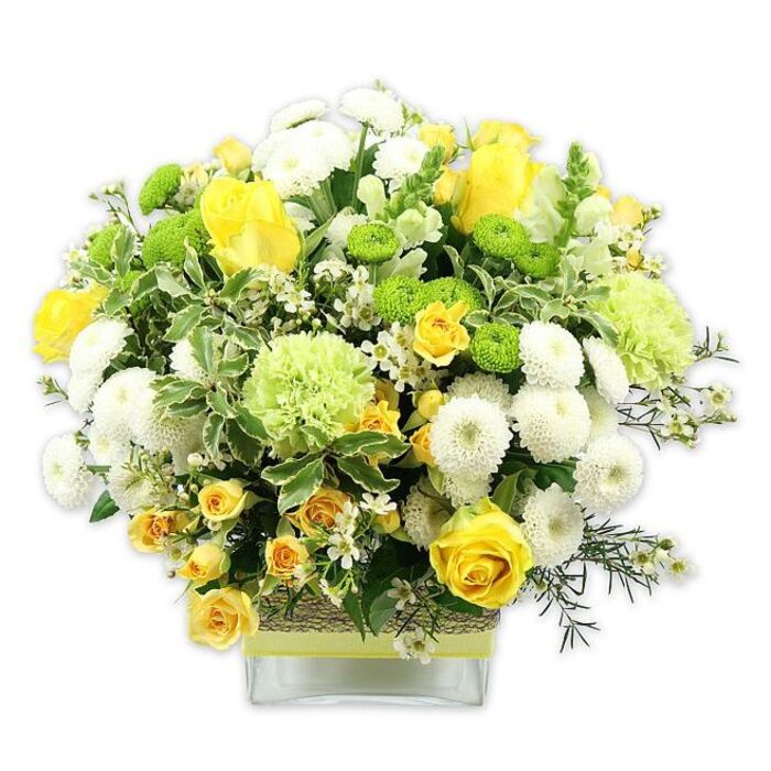 A lush, dome-shaped floral arrangement in joyful tones of yellow, green, and white is displayed in a low, clear glass vase with clean, modern lines, set against a bright white background that accentuates every detail. The bouquet appears both abundant and controlled, as though each stem has been thoughtfully placed. At the heart of the display, classic yellow roses unfurl in gentle spirals, their velvety petals soft yet luminous under the light, while smaller yellow spray roses weave between them, creating little clusters of sunshine. Surrounding these are white pompom chrysanthemums, rounded and densely petaled, lending a plush, almost cushion-like texture that contrasts beautifully with the smoother rose petals. Between the whites and yellows, vivid lime green button chrysanthemums tuck in as small, globe-shaped accents, and larger, frilly pale green blooms-similar to green carnations or specialty chrysanthemums-add volume and an airy, cloud-like softness. The foliage is rich without being overwhelming: broad, variegated leaves edged in cream, darker glossy greenery, and fine sprigs tipped with tiny white star-shaped filler flowers that introduce a delicate, almost sparkling effect. Through the transparent sides of the vase, straight, trimmed stems can be seen standing in clear water, reinforcing the sense of freshness. Around the middle of the glass, a band of natural, textured material like raffia or bark has been wrapped and finished with a slim ribbon in pale yellow or lime, subtly echoing the bouquet's colours and adding an artisanal touch. The lighting is soft yet bright, with minimal shadows, enhancing an overall mood of clarity and optimism. In Spitalfields, this is the sort of arrangement that might sit on a reclaimed wooden table in a warehouse loft, delivered by a local florist to celebrate a birthday, welcome a new neighbour on Fournier Street, or bring a gentle brightness to a quiet Sunday brunch.